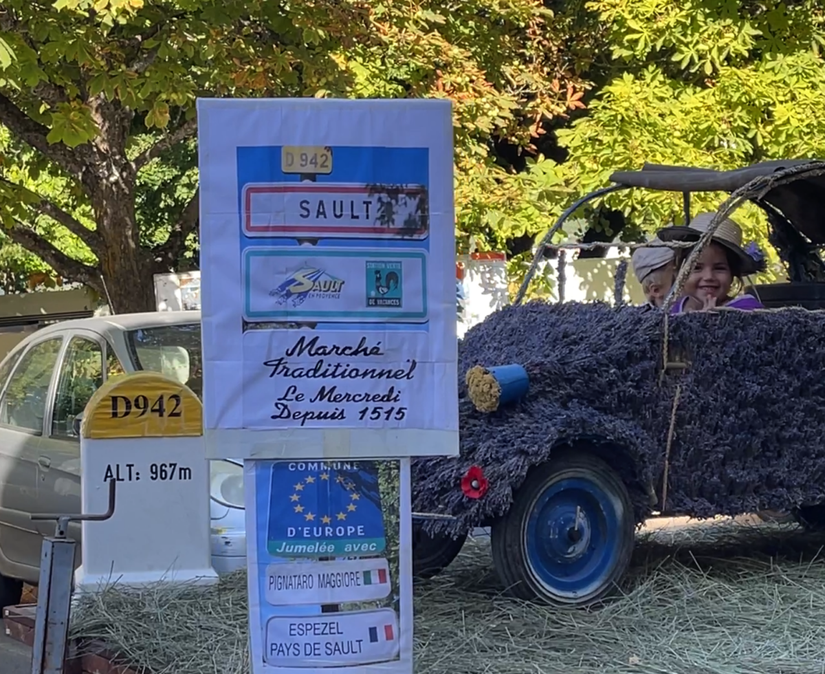 Le Marché Traditionnel du Sault - Lavendelernte in der Provence